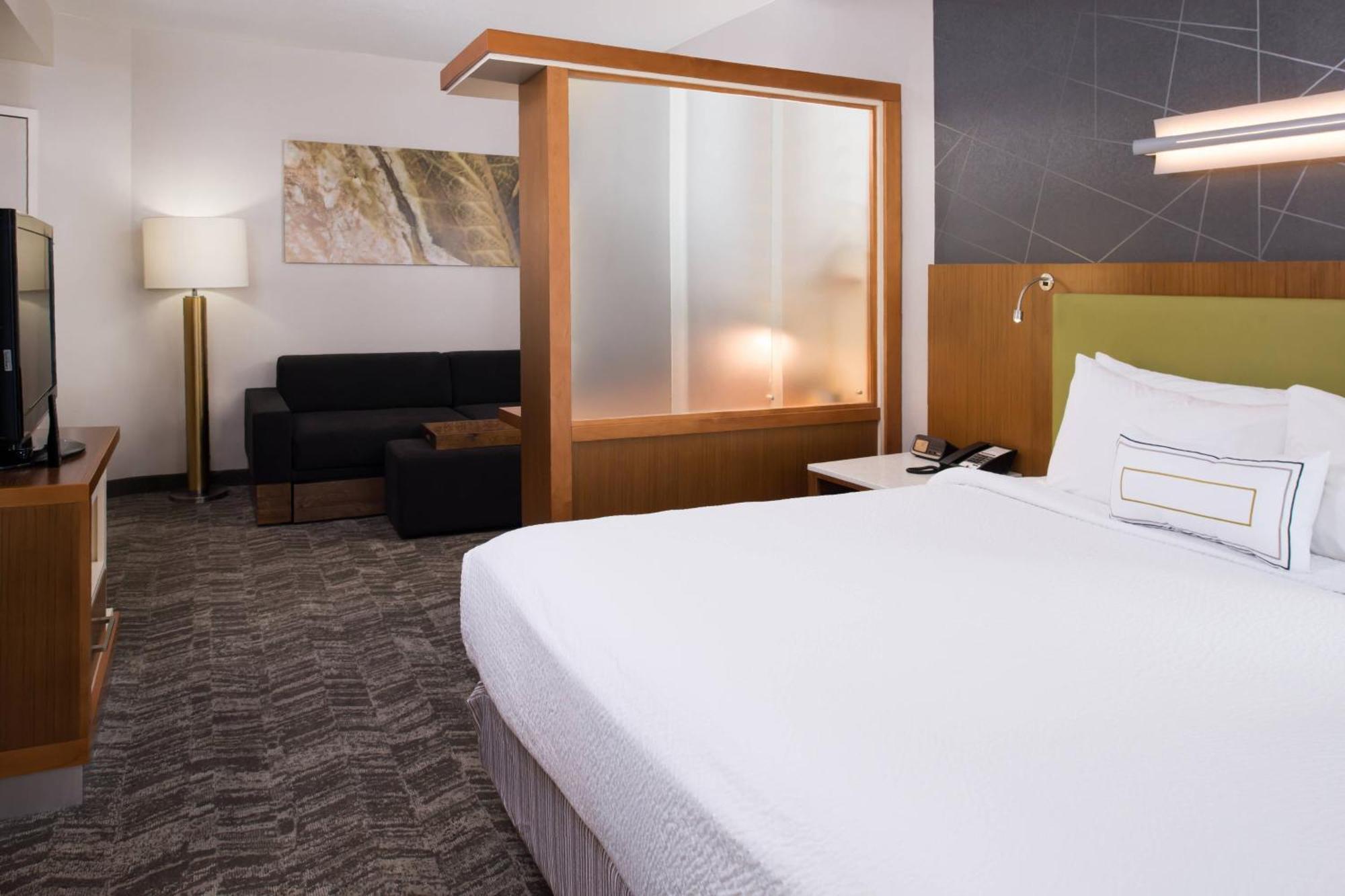 Springhill Suites By Marriott Huntsville Downtown Екстер'єр фото